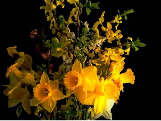 Native bouquet