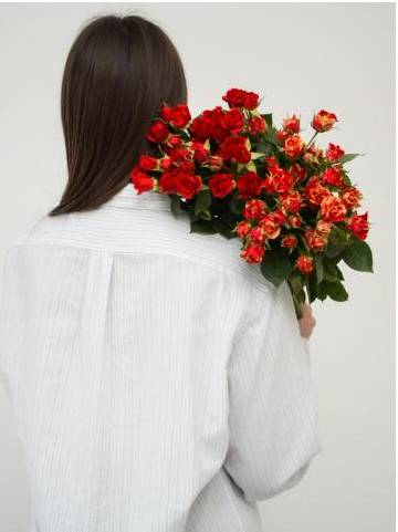 Roses close-up
