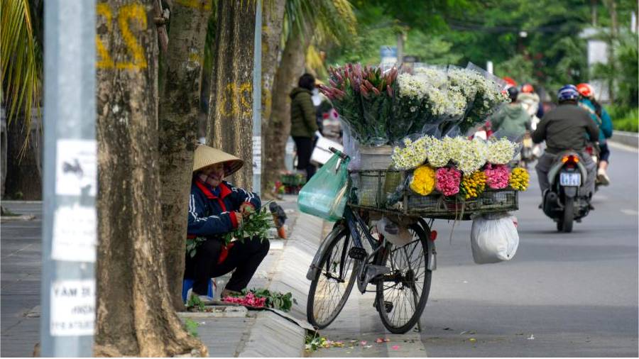 Florist arranging native flowers