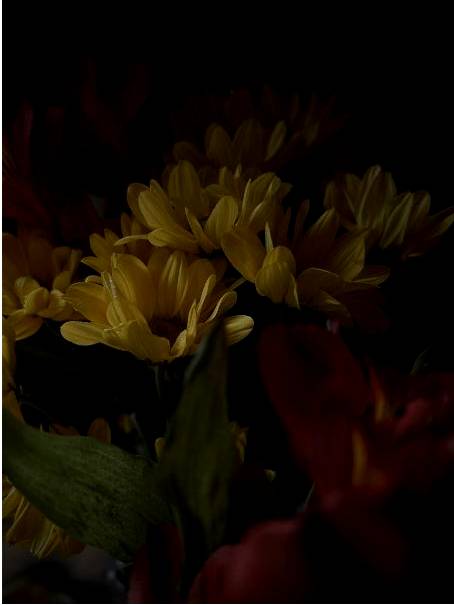 Kōwhai sprig bouquet