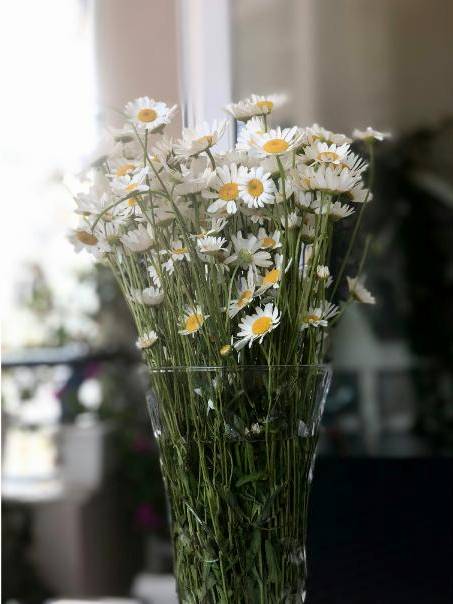 Corporate floral installation